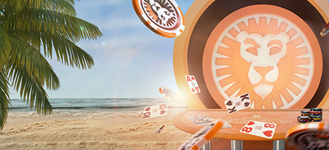 gra w kasynie internetowym opinie